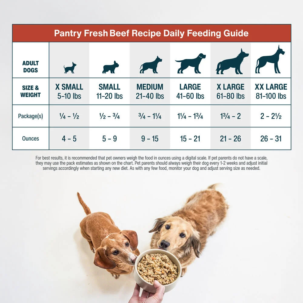Pantry Fresh Wet Dog Food, Complete Meal or Dog Food Topper, Beef & Russet Potato Human Grade Dog Food Recipe - 12.5 Oz (Pack of 6)