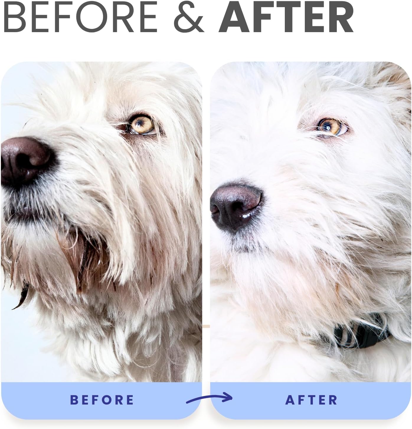 Berry Blue Brightening Face and Body Wash for Dogs - Blueberry Shampoo - Remove Tear Stains, Hydrate Dry Itchy Skin, Add Shine & Luster to Coats (Berry Blue Shampoo Gallon/Pump)