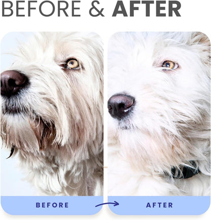 Berry Blue Brightening Face and Body Wash for Dogs - Blueberry Shampoo - Remove Tear Stains, Hydrate Dry Itchy Skin, Add Shine & Luster to Coats (Berry Blue Shampoo Gallon/Pump)