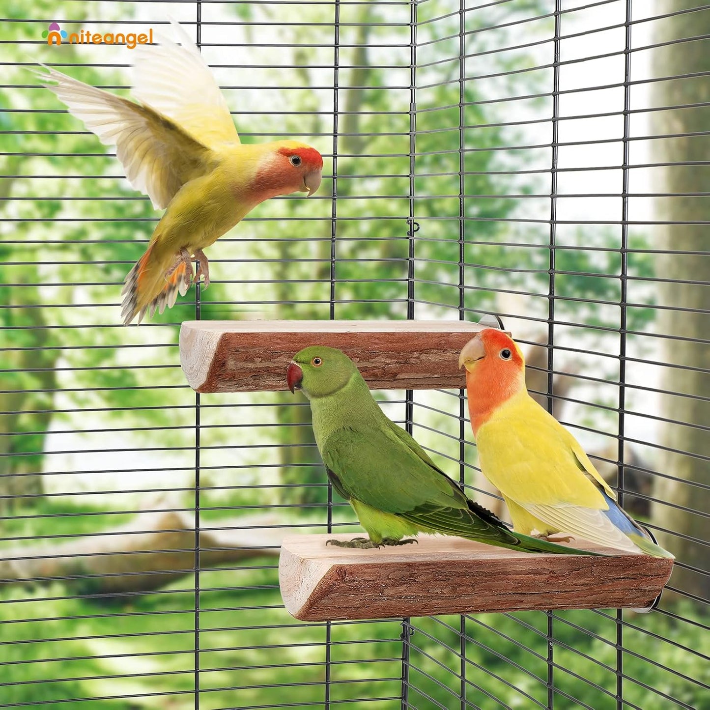 Parrot Cage Perch, Wooden Platform for Birds (2 Packs)