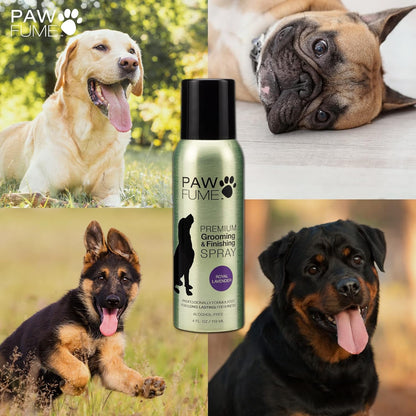 Grooming Spray Dog Spray Deodorizer Perfume for Dogs - Dog Cologne Spray Long Lasting Dog Sprays - Dog Perfume Spray Long Lasting after Bath- Dog Deodorizing Spray (Lavender)