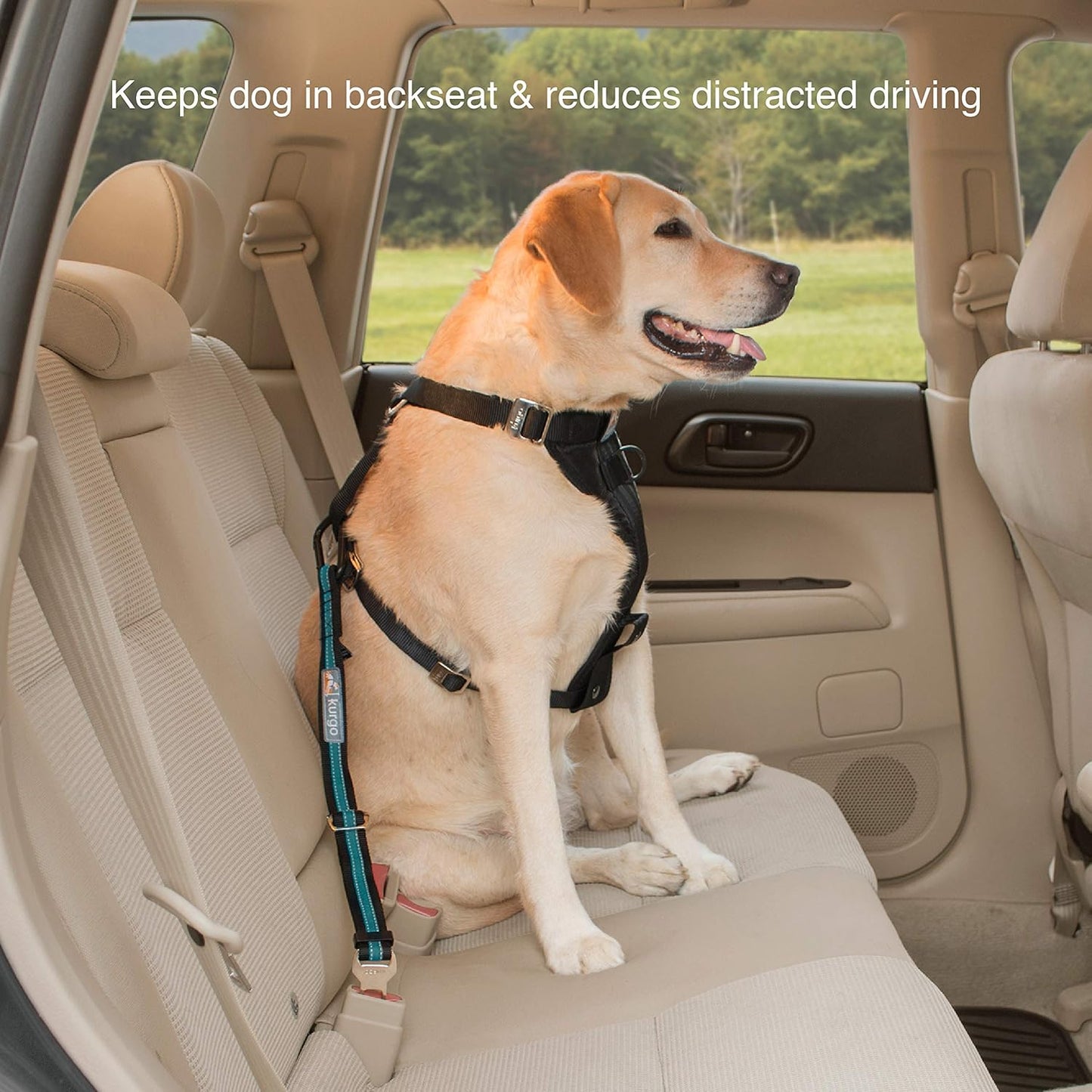 Direct to Seat Belt Tether for Dogs, Universal Car Seat Belt for Pets, Adjustable Length Dog Safety Beltquick & Easy Installation